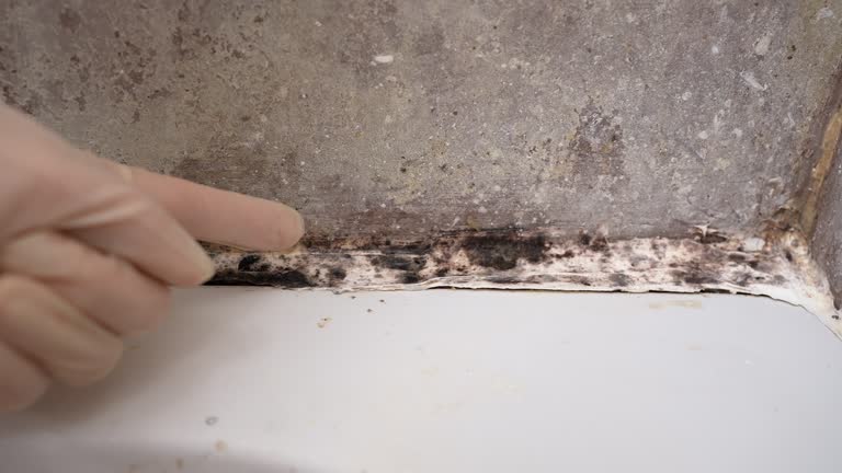 Asbestos and Lead Testing During Mold Inspection in Woodbury Heights, NJ